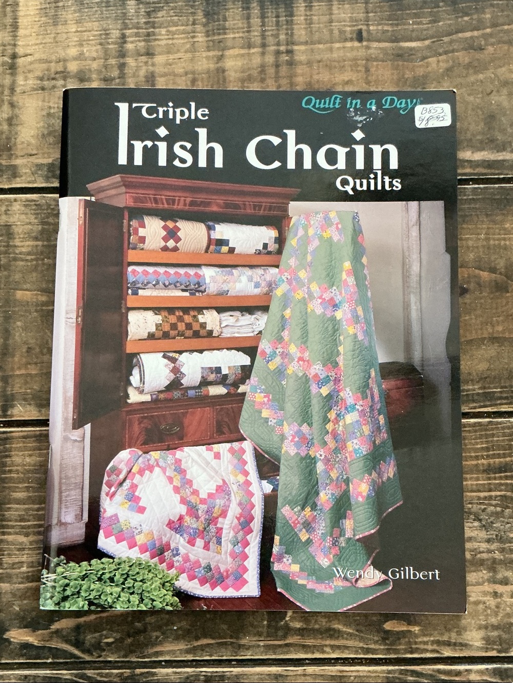 Triple Irish Chain Quilts Pattern Book by Wendy Gilbert- Quilt in a Day